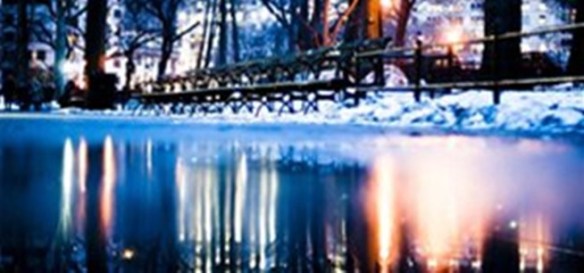 Bickering Reflections