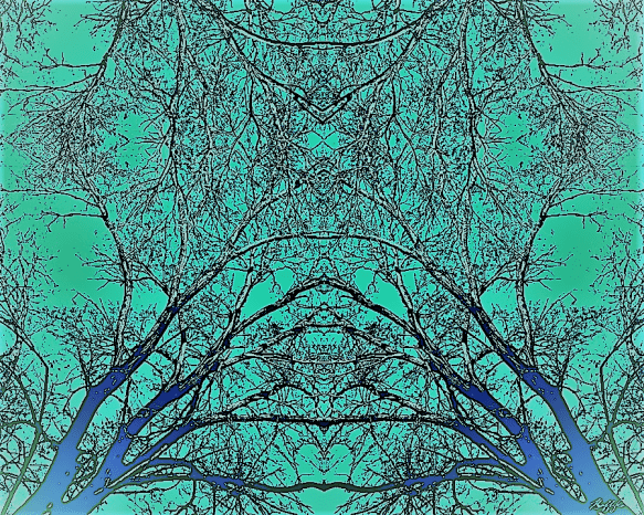 Asymmetrical symmetries.png