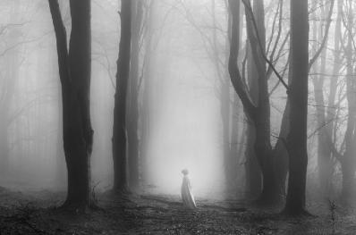 Monochromatic landscape