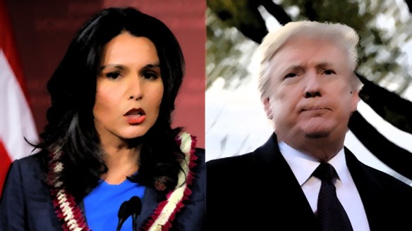 tulsi and trump