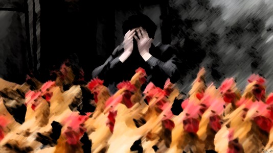 Chickens home to roost