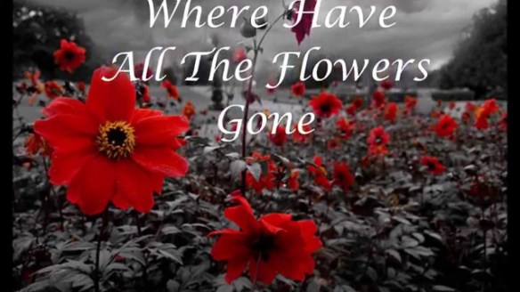 Where have all the flowers gone